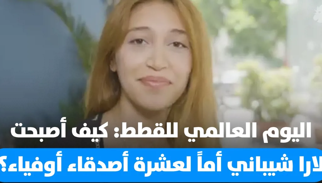 اليوم العالمي للقطط: كيف أصبحت لارا شيباني أماً لعشرة أصدقاء أوفياء؟  (فيديو)