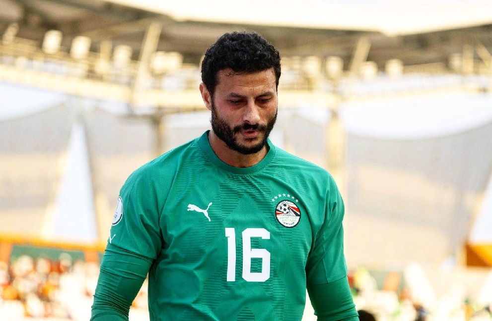 محمد الشناوي. (مواقع)