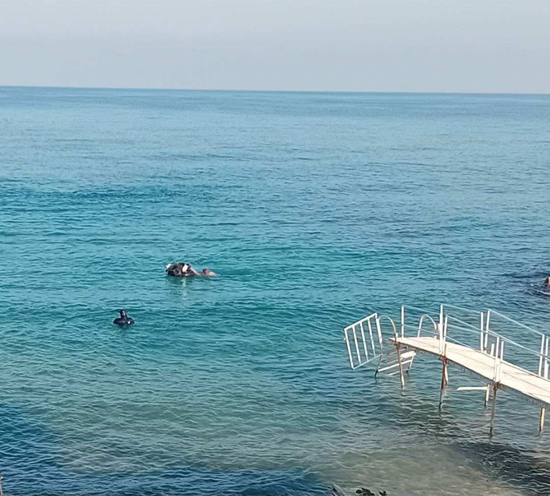 تحوم - البترون (طوني فرنجية).