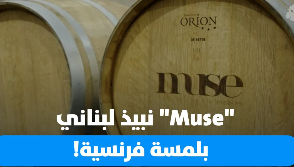 "Muse" نبيذ لبناني بلمسة فرنسية في أعلى نقطة مزروعة في لبنان