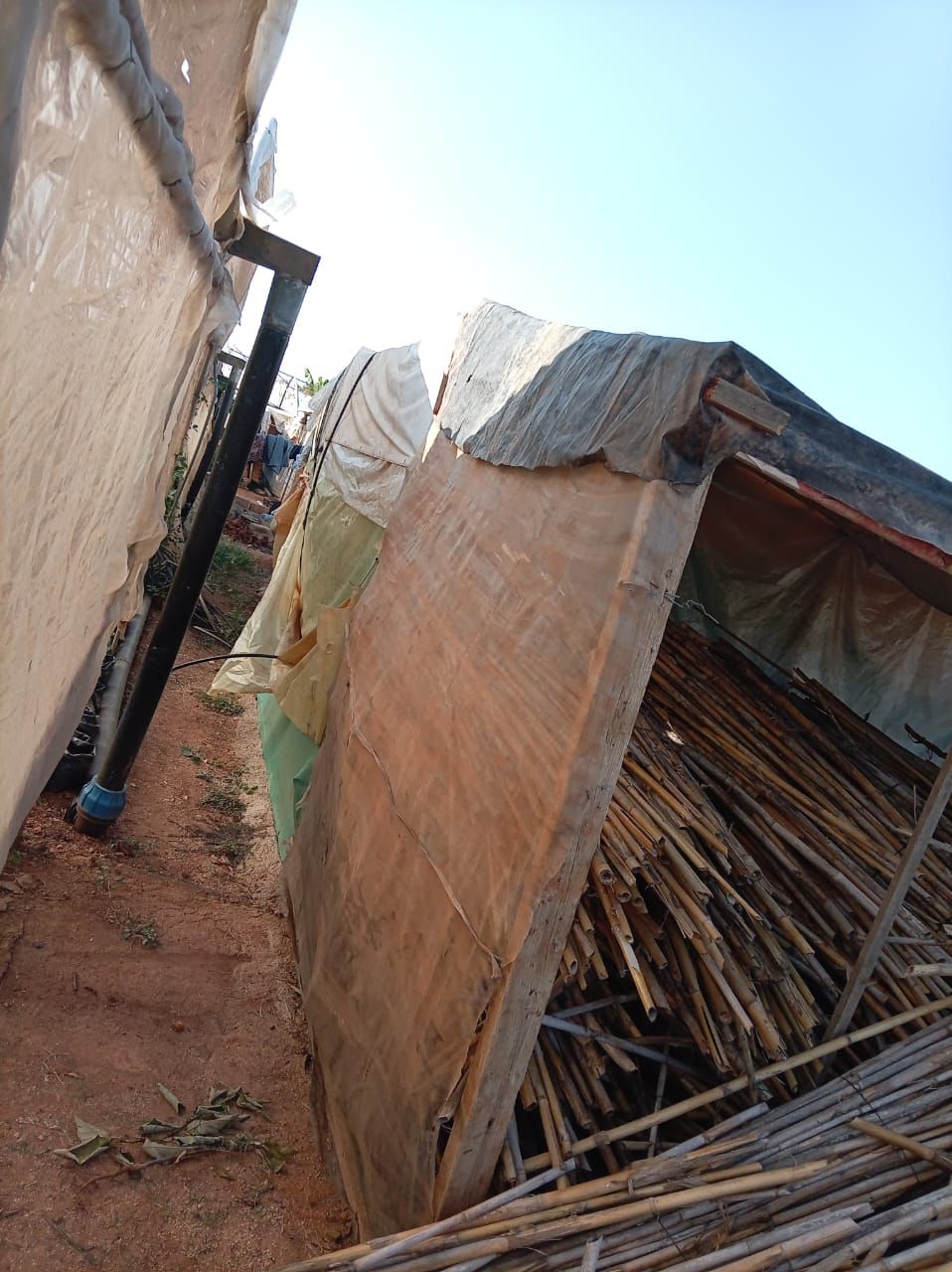 تعديات (مواقع)