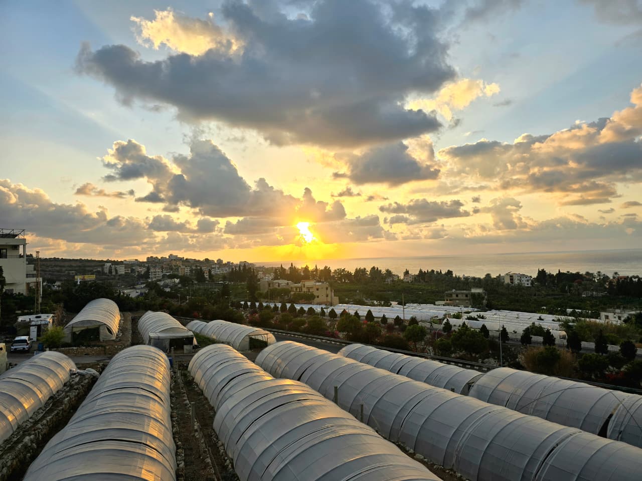 غروب الشمس في جنوب لبنان (تصوير أحمد منتش).