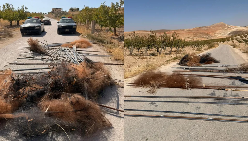 مجازر الطيور في البقاع... احباط عملية صيد جائر في بلدة ماسا (صور)