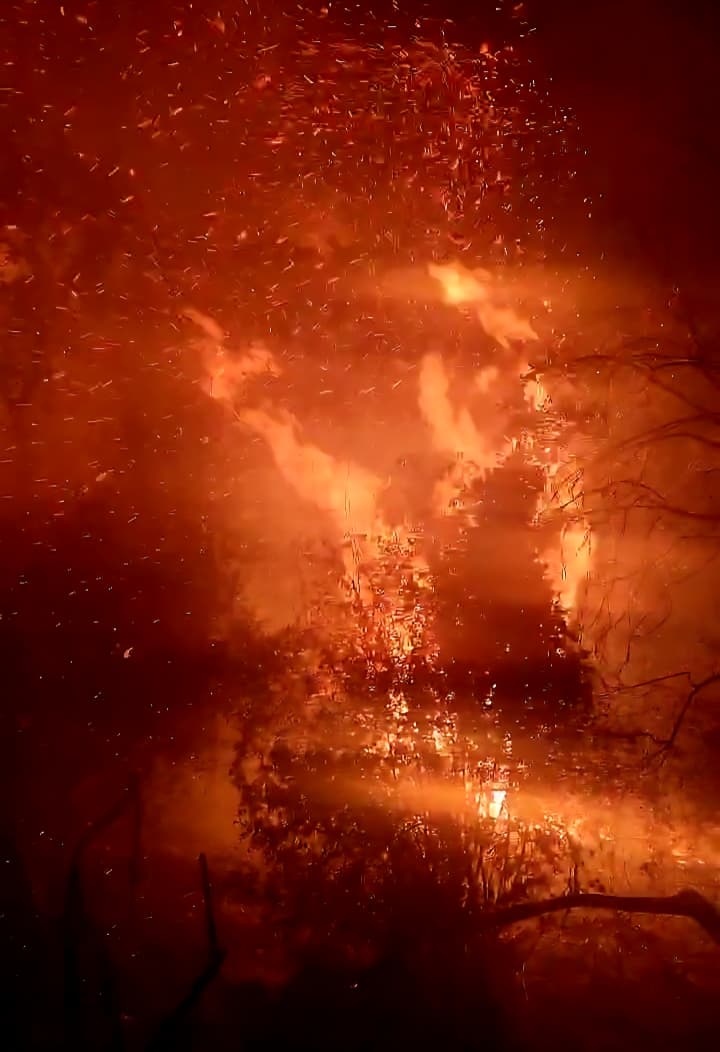 حريق كبير في أحراج عندقت – عكار. (النهار)