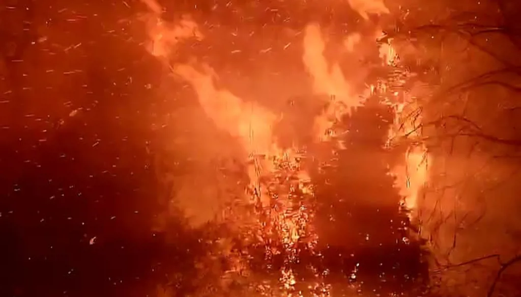 بالفيديو - حريق كبير في أحراج عندقت – عكار... وعمليات الإطفاء مستمرة