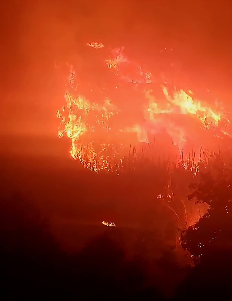 حريق كبير في أحراج عندقت – عكار. (النهار)