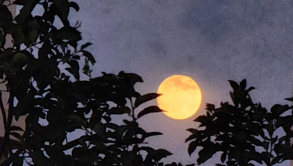 بالصور - أكبر قمر عملاق في 2025 يزيّن سماء الأربعاء