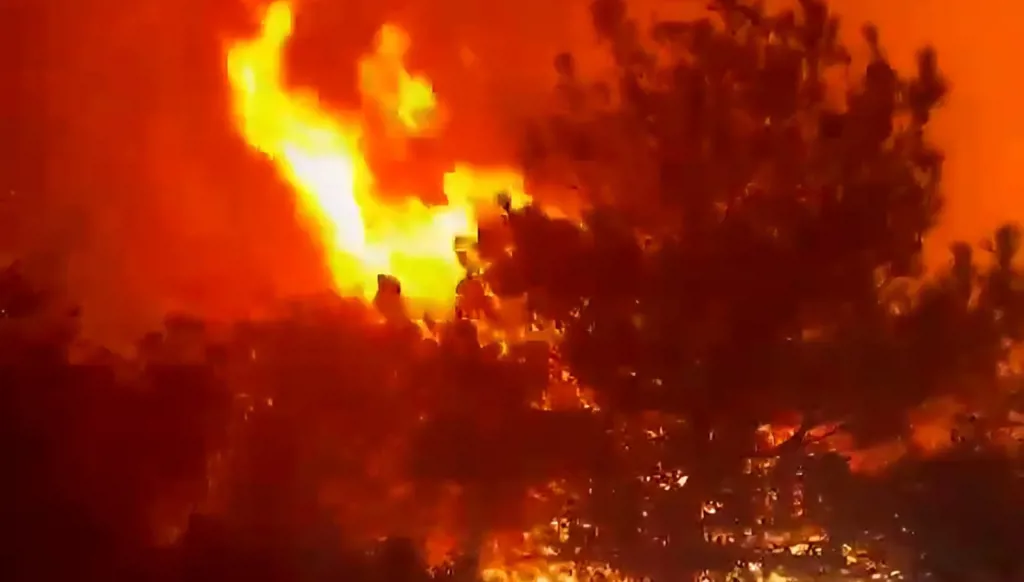 كارثة بيئية في شدرا: حريق هائل يلتهم أحراج السنديان... وشبهات بافتعاله من قبل مجهولين (فيديو)