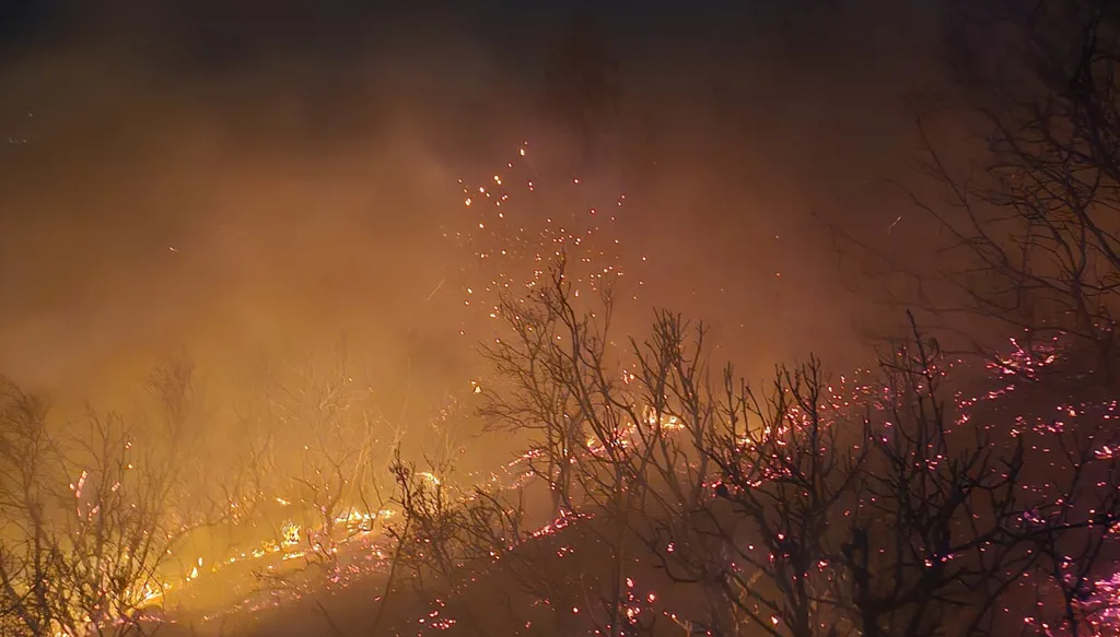 الحريق المستعر في بلدة شدرا العكارية 