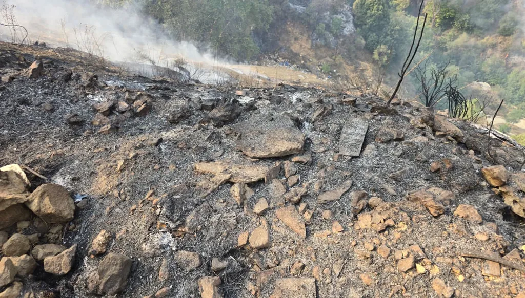 إخماد الحرائق في جزين… وتحرّك من عون وبري (فيديو)