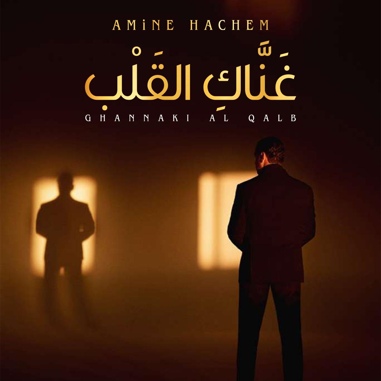 امين هاشم يطلق اغنية جديدة (مكتب الفنان امين هاشم)