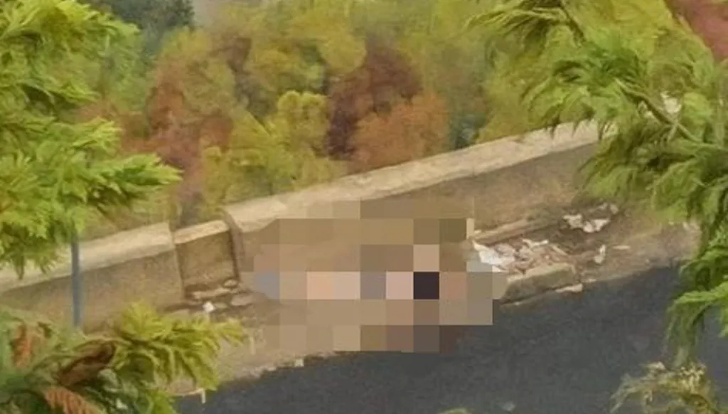 العثور على جثة فتى على طريق بكركي – حريصا... وفتح تحقيق