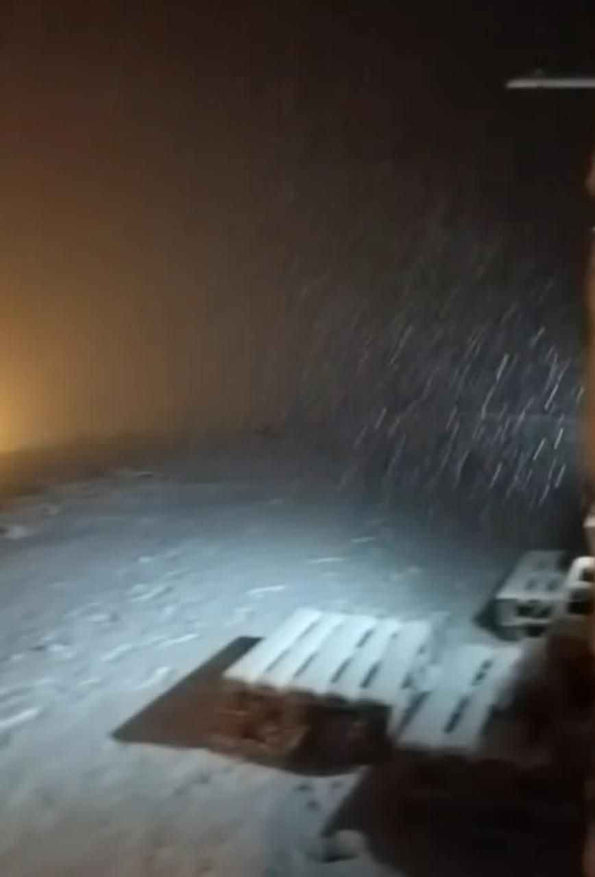 تساقط الثلج في جرد مربين في الضنية (مواقع التواصل).