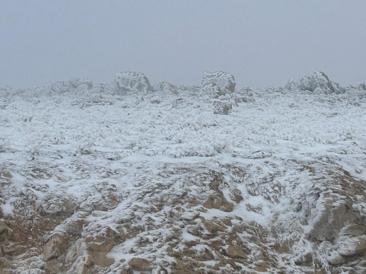 إهدن (طوني فرنجية)