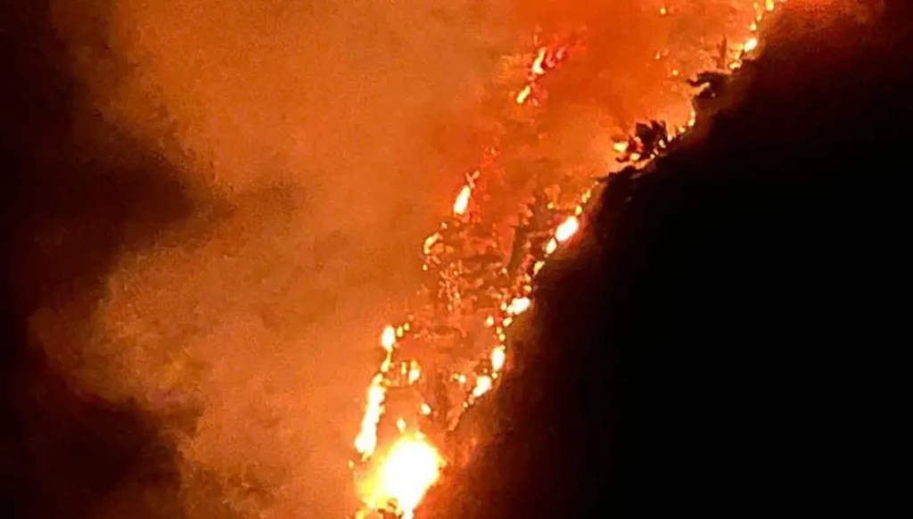 حريق كبير فوق شلالات عيون السمك – الضنية: النيران تلتهم الغابة (صور وفيديو)