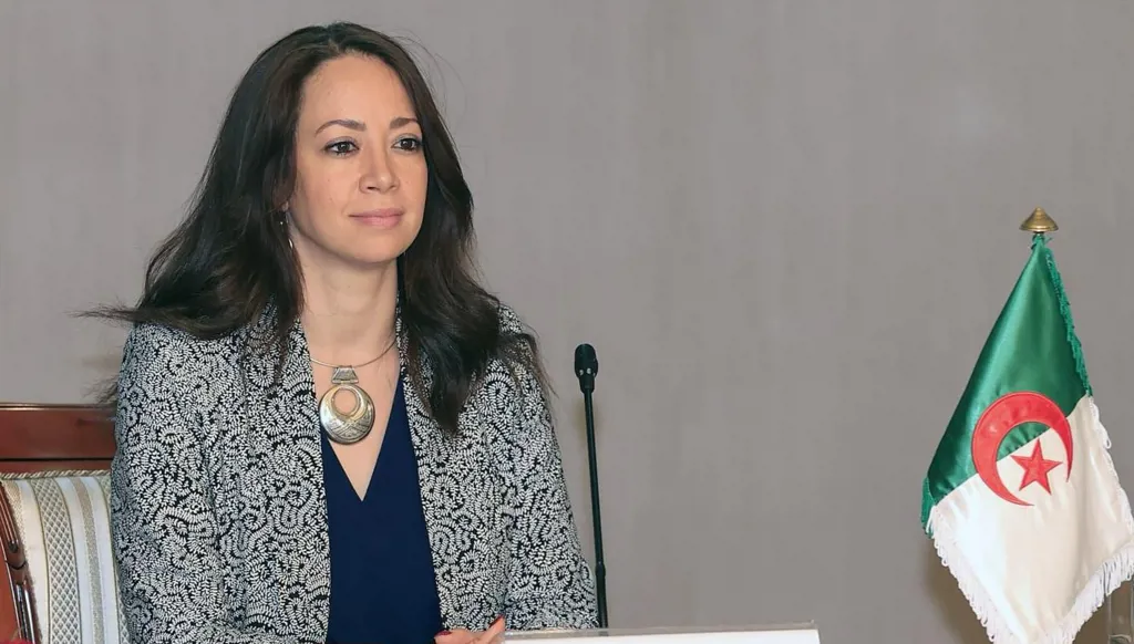 الركائز الأساسية الناقصة في علاقة الجزائر الثقافية بالدول الأفريقية