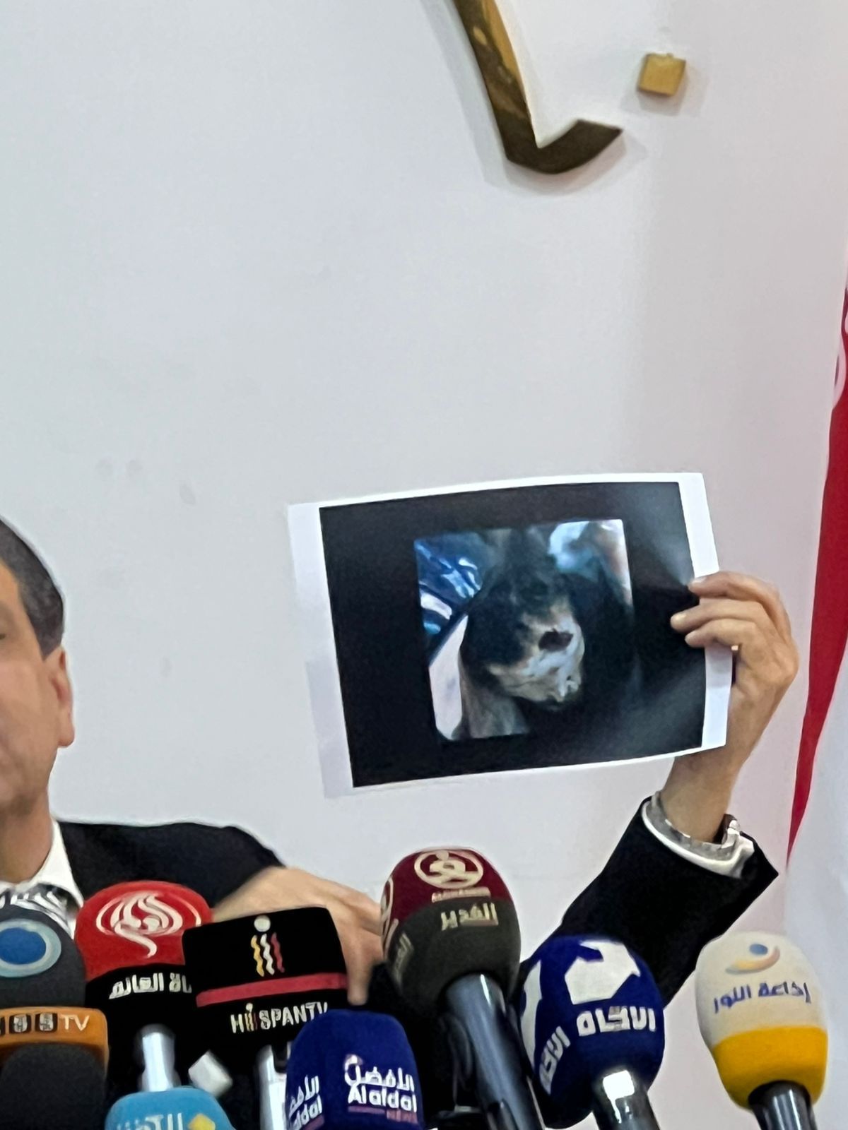 جانب من المؤتمر. (النهار)