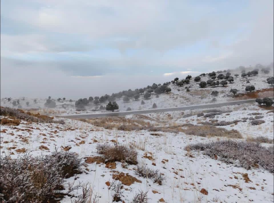 تساقط الثلج في جرود الضنية (النهار).