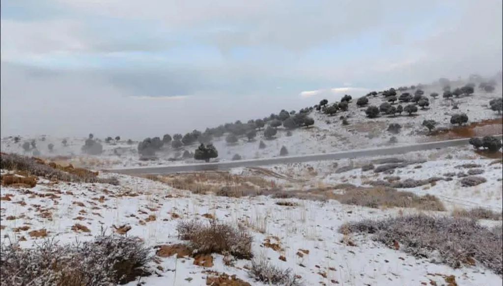 بالصور والفيديو- لبنان تحت تأثير منخفض جوي بارد... الثلوج تُغطي الجبال وأمطار غزيرة ساحلاً