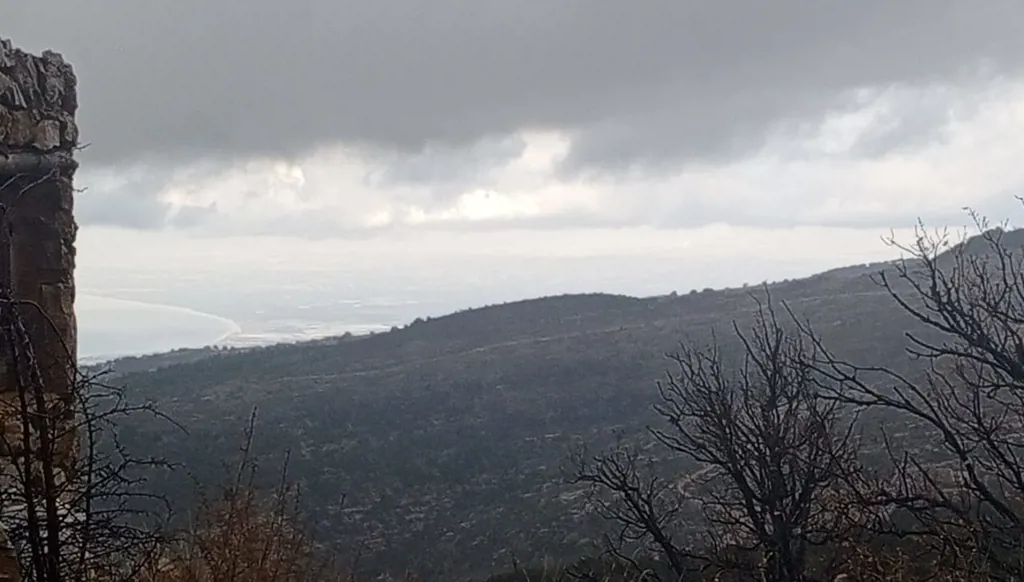 الكتل الأبرد هذا الموسم تغطي لبنان... الثلوج إلى ارتفاع 1000 متر فجر الأحد (صور - فيديو)