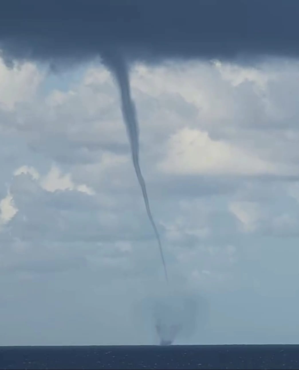 تنين البحر على الشاطئ الشمالي.