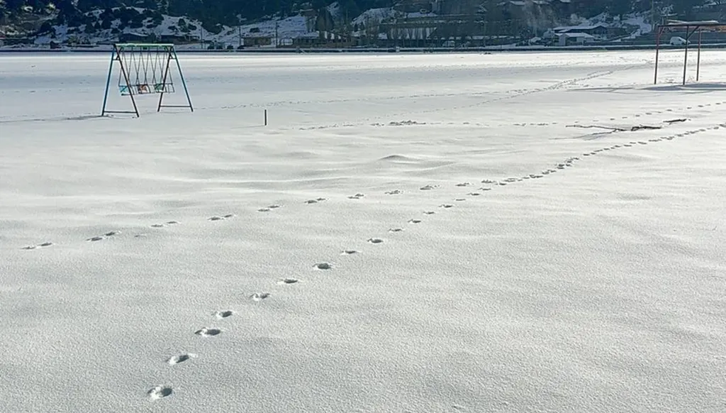 بالصور والفيديو- الثلوج تُغطي أعالي عكار للمرة الأولى هذا العام... وجرافات وزارة الأشغال تفتح الطرق المقطوعة