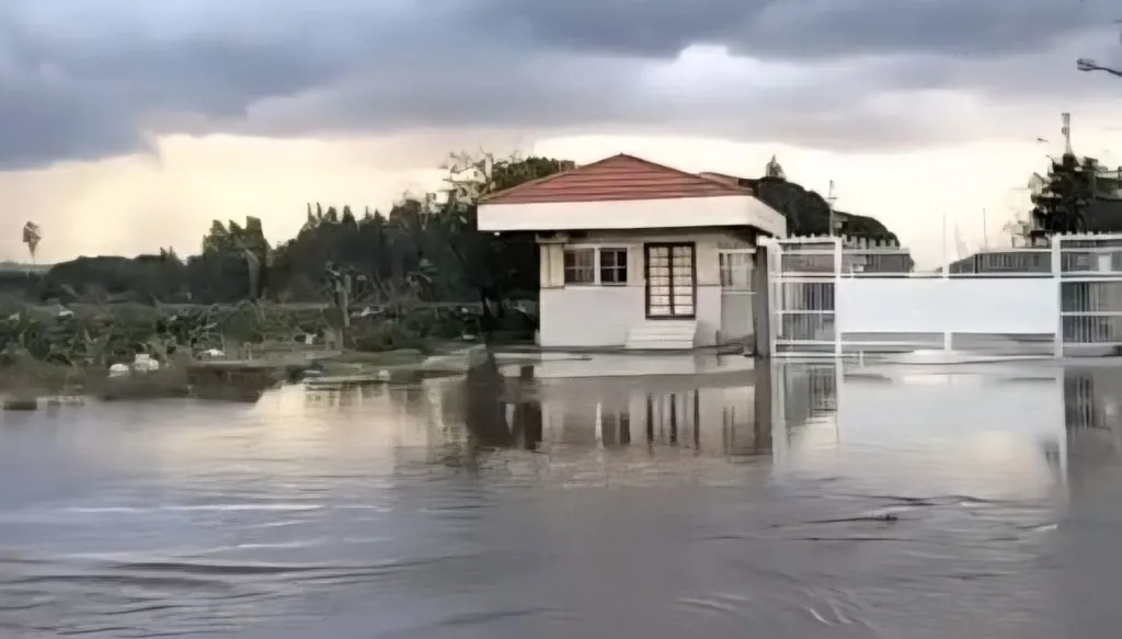 عكار. (ميشال حلاق)