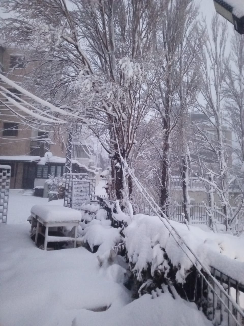 تساقط الثلوج شمالي لبنان (النهار).