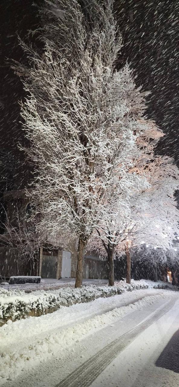 تساقط الثلوج ليلاً (النهار).