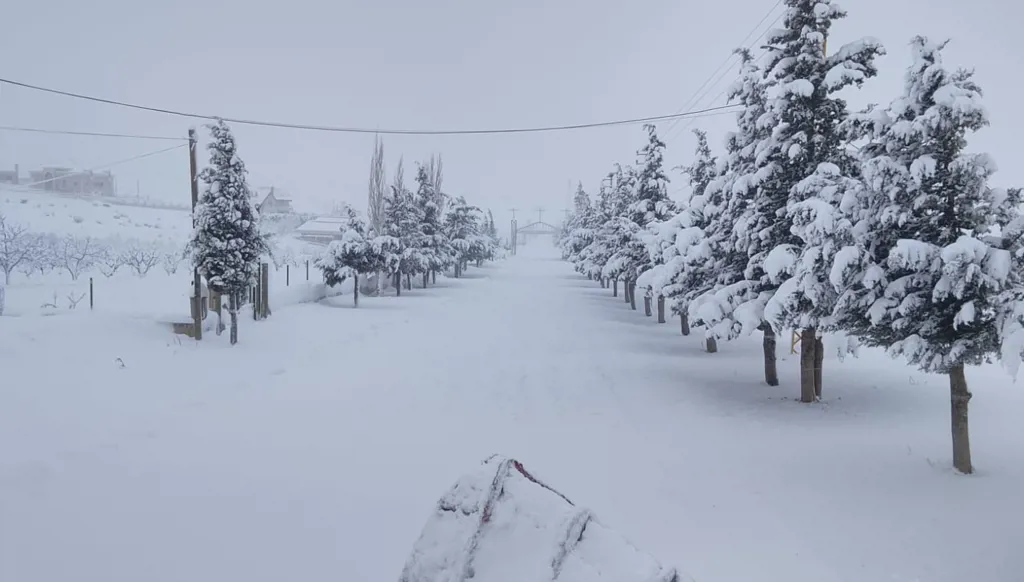 بالفيديو- الثلوج تُغطّي ضهر البيدر وبحيرة القرعون للمرة الأولى... طرق جبلية مقطوعة وسيول وتحذير للسائقين!