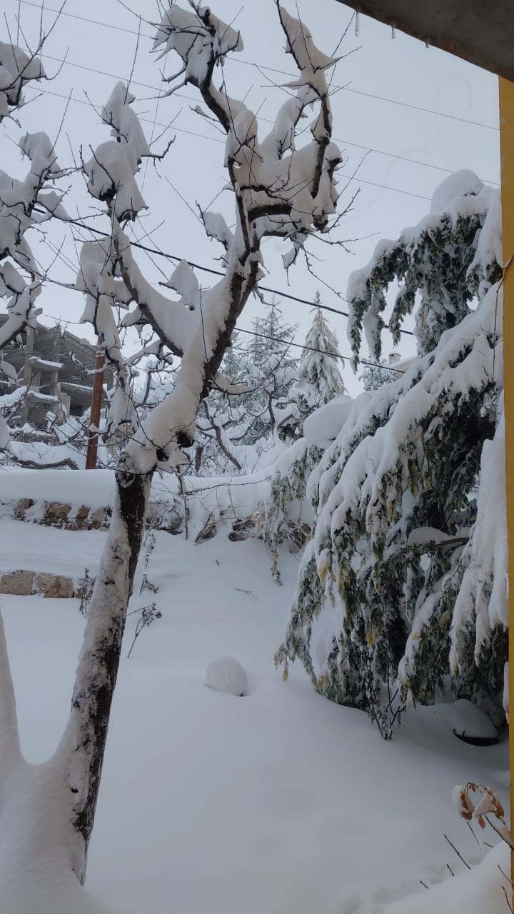 الثلج في بشري. (النهار)