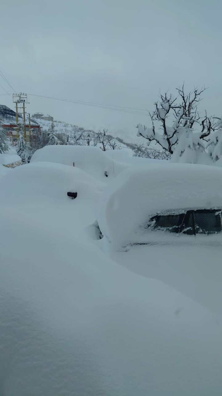 الثلج في بشري. (النهار)