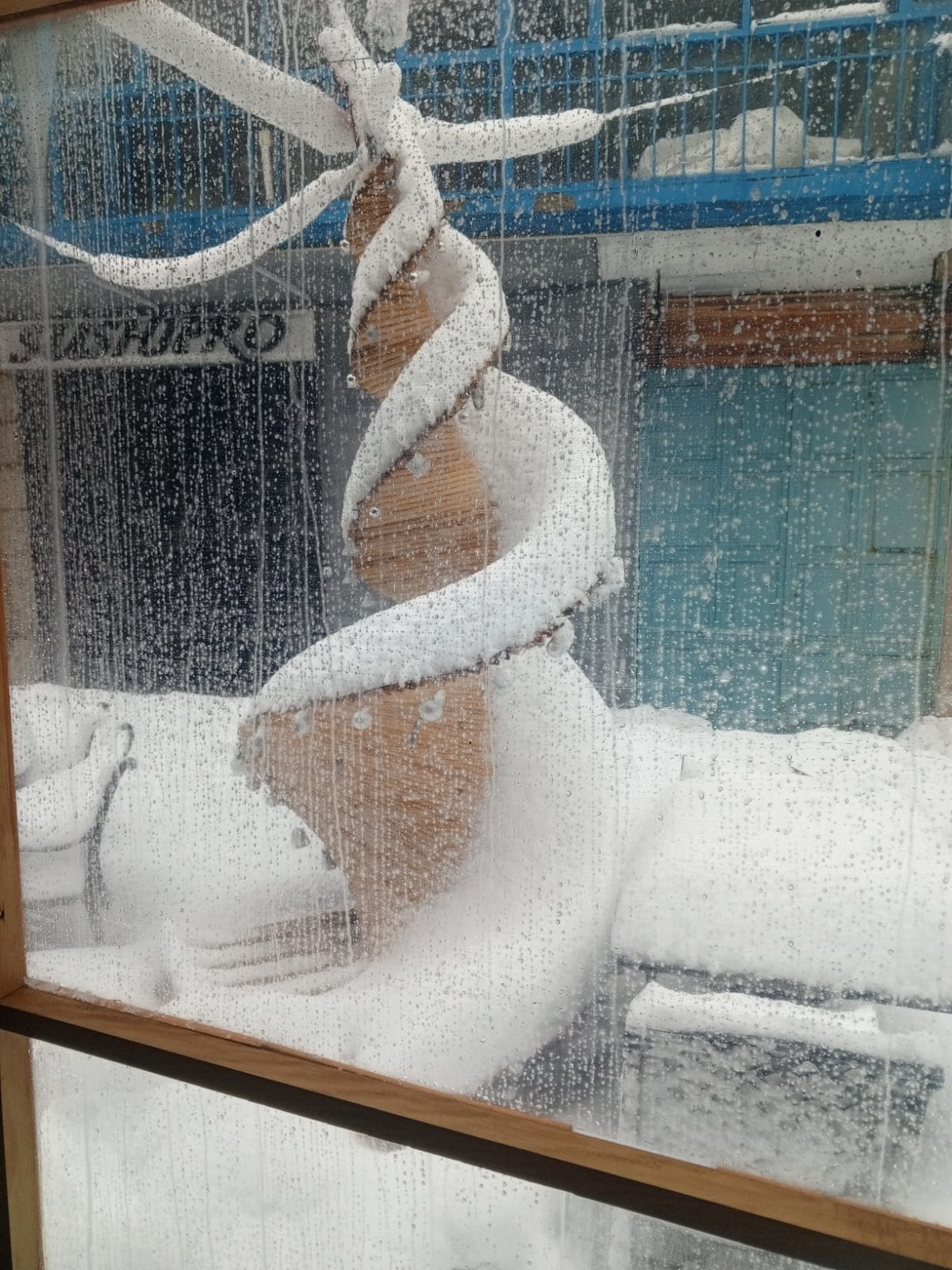 الثلج في إهدن. (النهار)