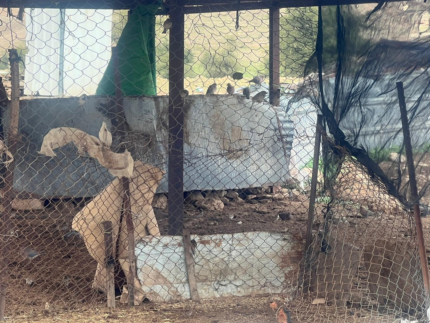 تحولت الخيم إلى مساكن للطيور. (النهار)