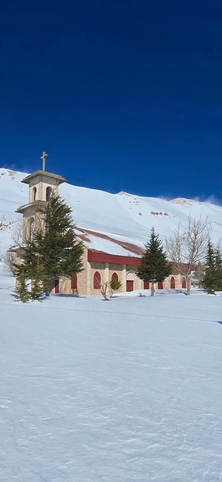 الثلوج في إهدن شمالي لبنان (النهار).