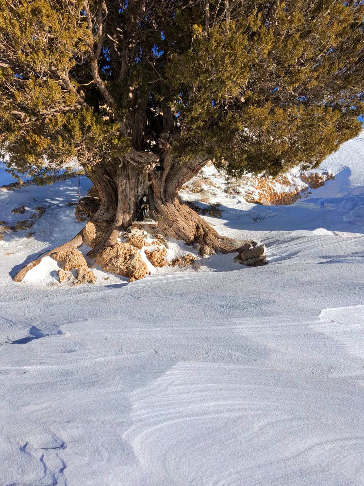 الثلوج في إهدن شمالي لبنان (النهار).
