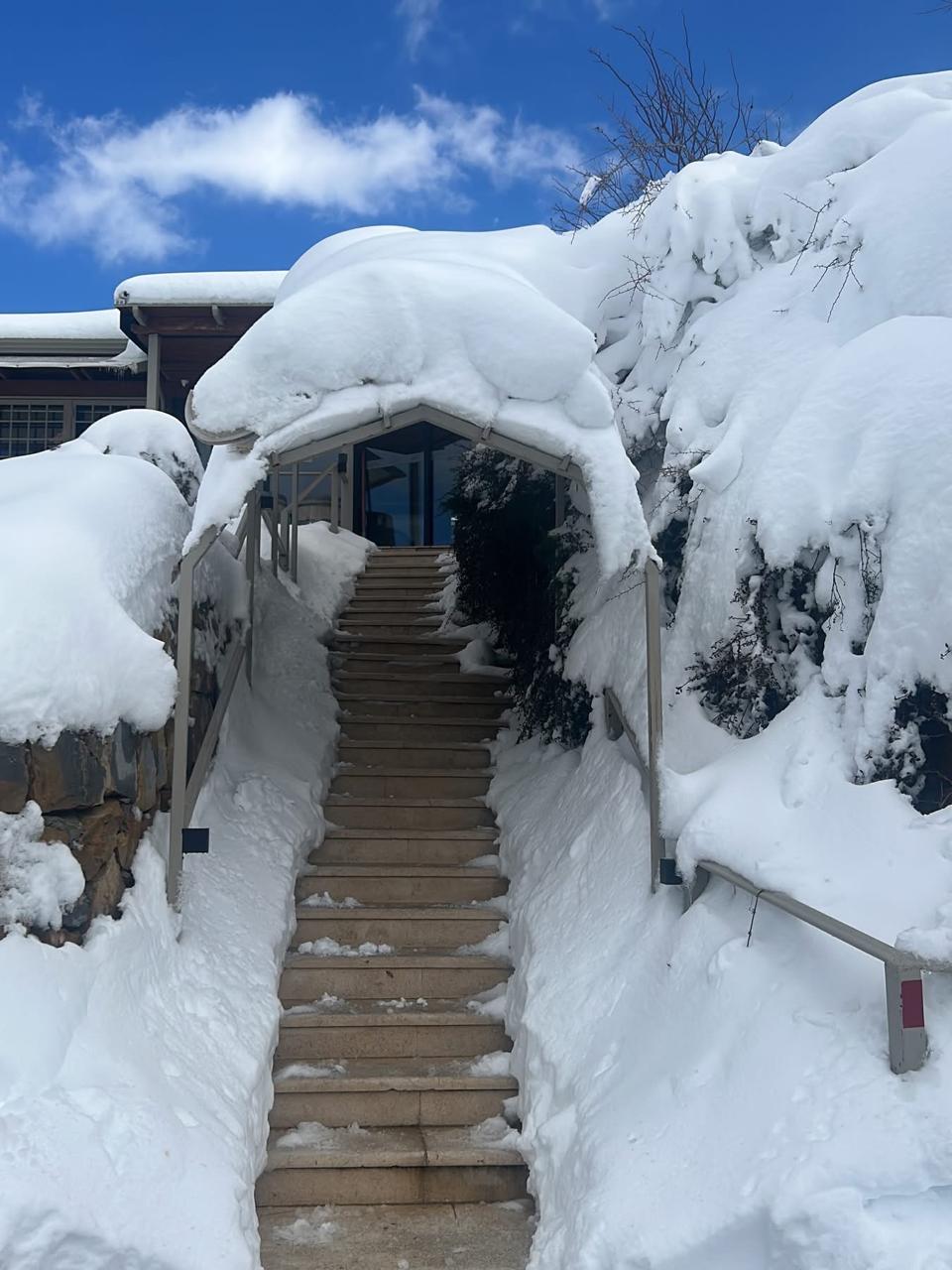 WhatsAppImage20260117at08.52.311_094631.