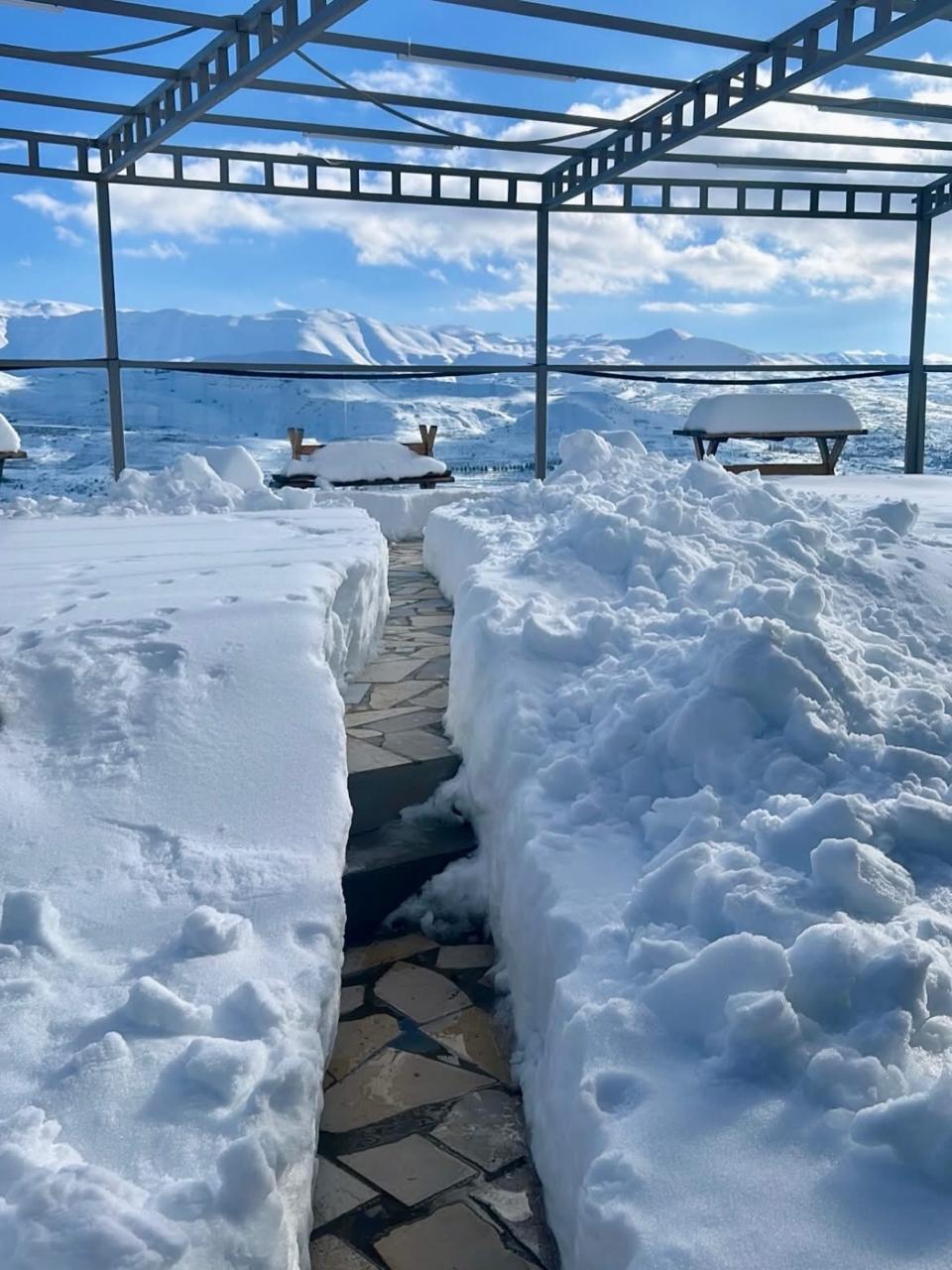 WhatsAppImage20260117at08.52.321_094642.