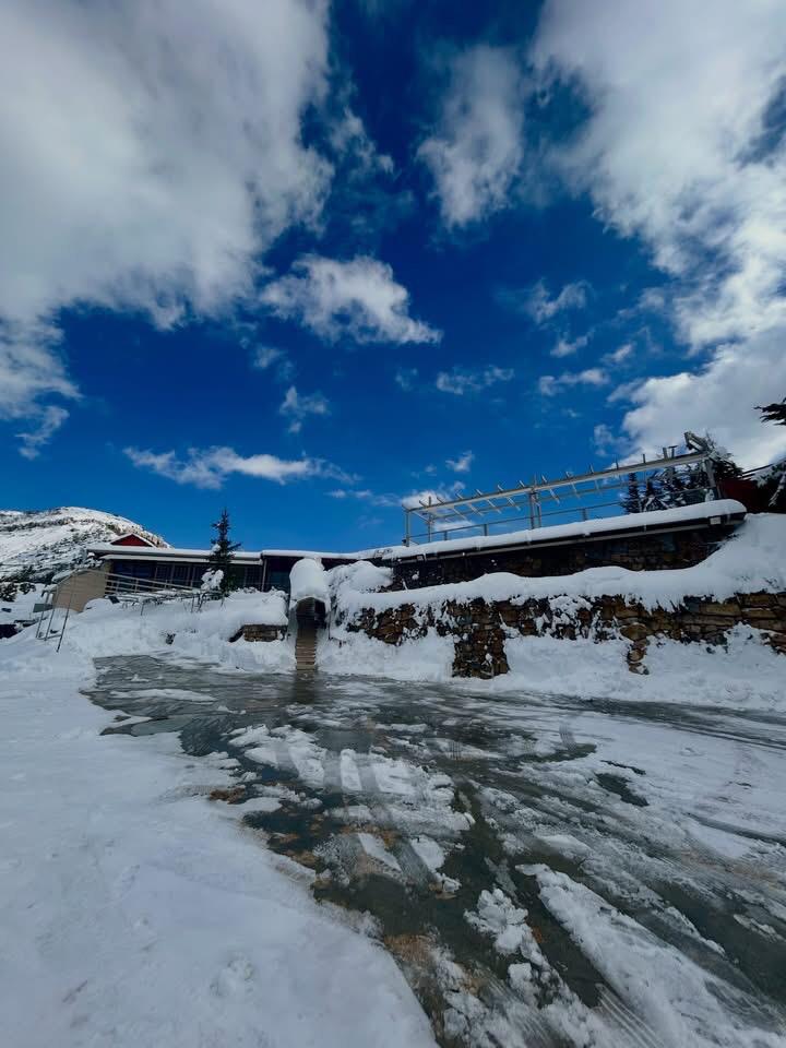 WhatsAppImage20260117at08.52.32_094642.j