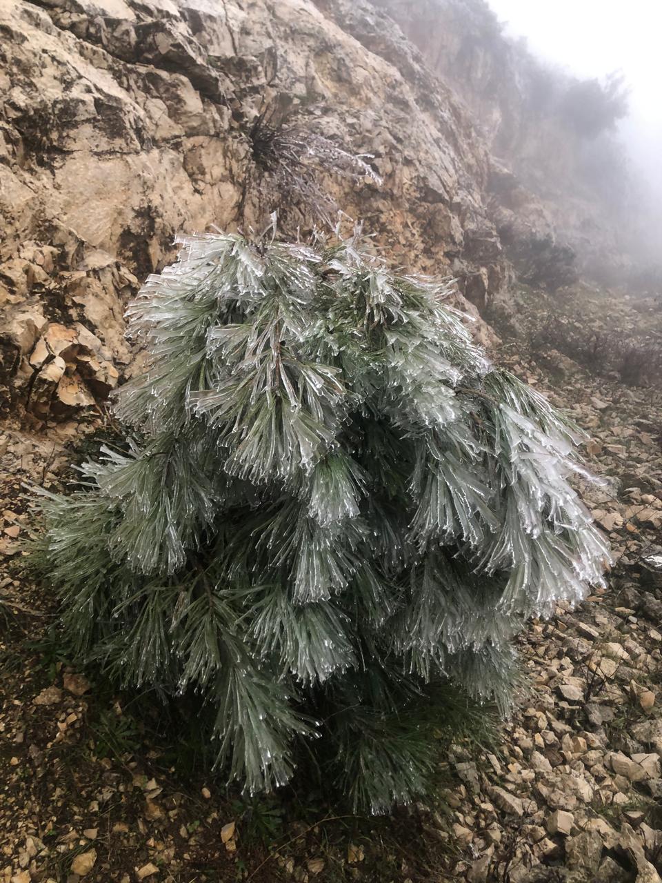 مطر جليدي يسيطر على منطقة شمال شرق محافظة عكار (النهار). 