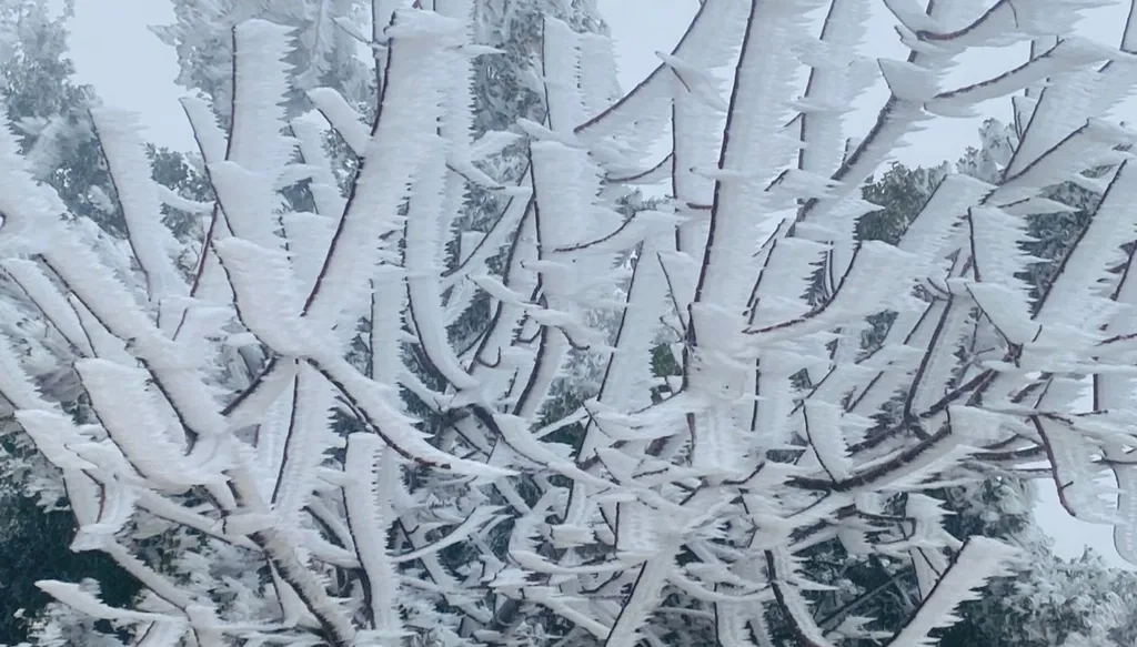 منخفض جوي في لبنان على مرحلتين... حرارة متقلّبة وأمطار متفرقة!