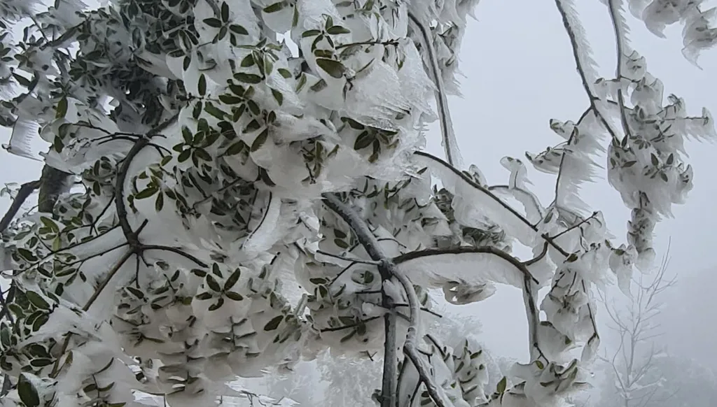 بعد الطقس المستقرّ... منخفض جويّ جديد سيصل لبنان!