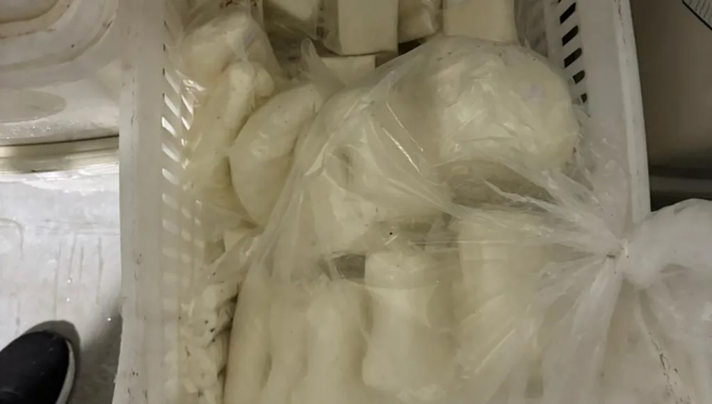 جبنة فاسدة (الجمارك).