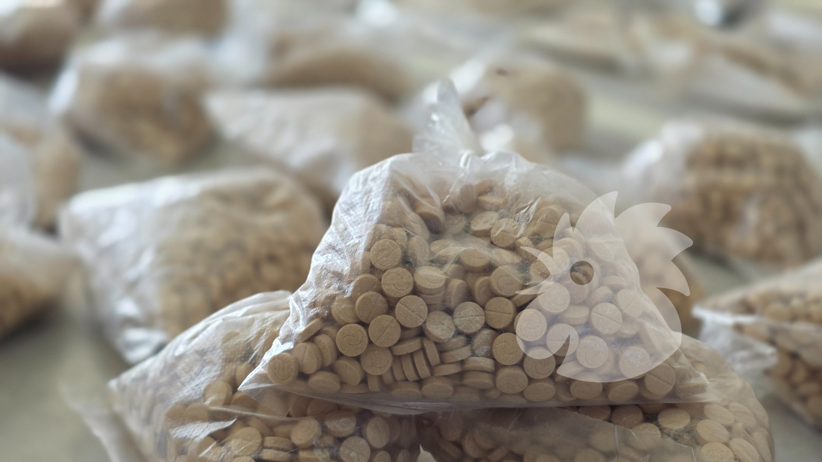 المضبوطات. (النهار)