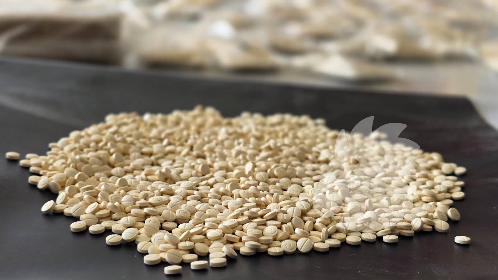 المضبوطات. (النهار)