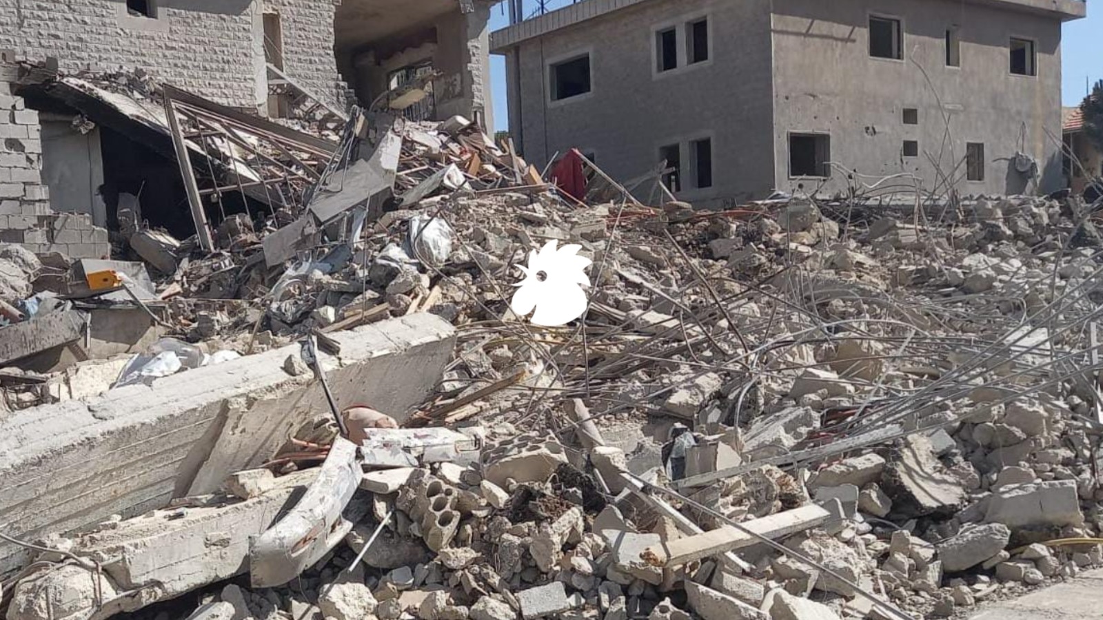 مشاهد حصرية لـ