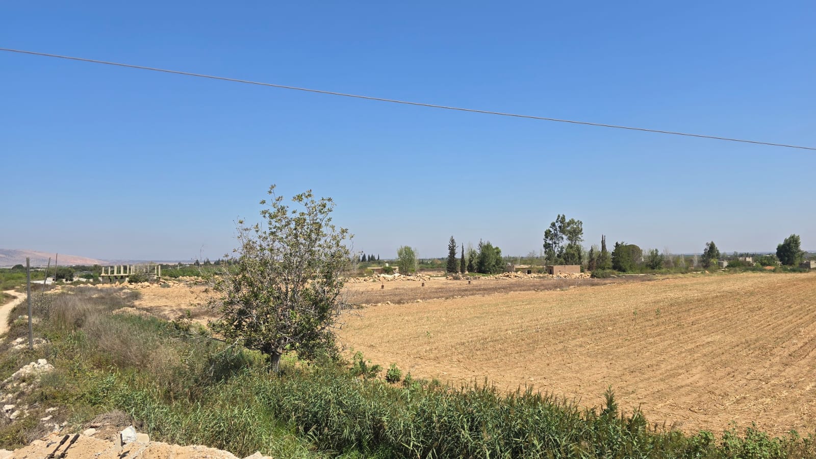 حوش السيد (لينا إسماعيل).