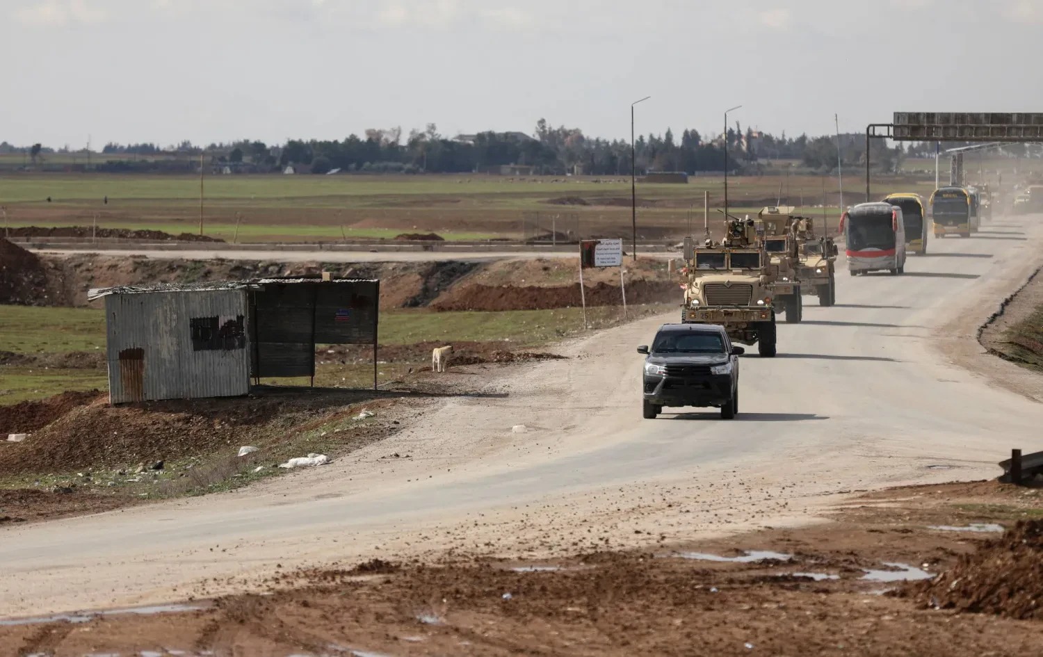 قافلة تنقل عناصر من داعش إلى العراق. (رويترز)