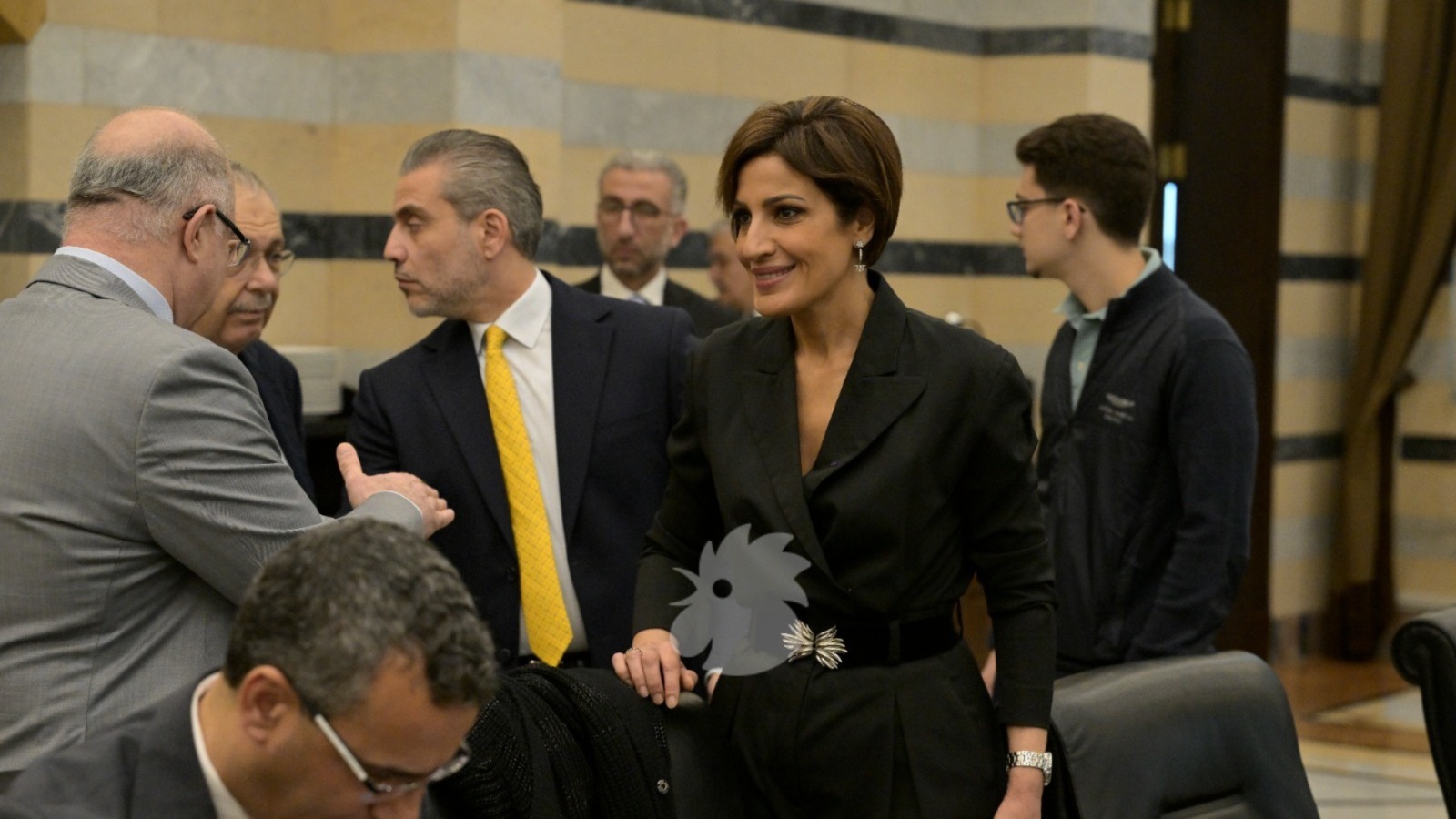 وزراء في الحكومة (نبيل اسماعيل).