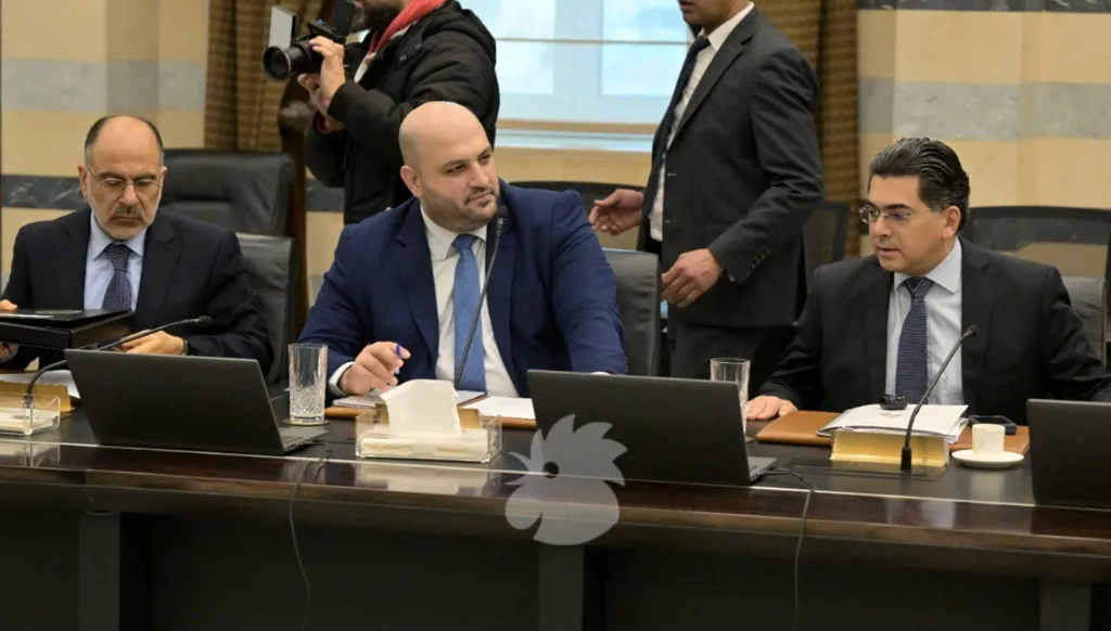 وزراء في الحكومة (نبيل اسماعيل).